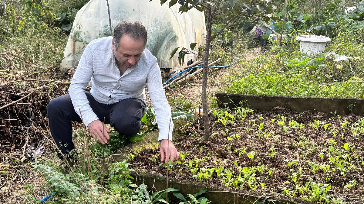 Trabzonlu Fatih Çolak, balkonunda hobi olarak başladığı ata tohumu yetiştiriciliğini