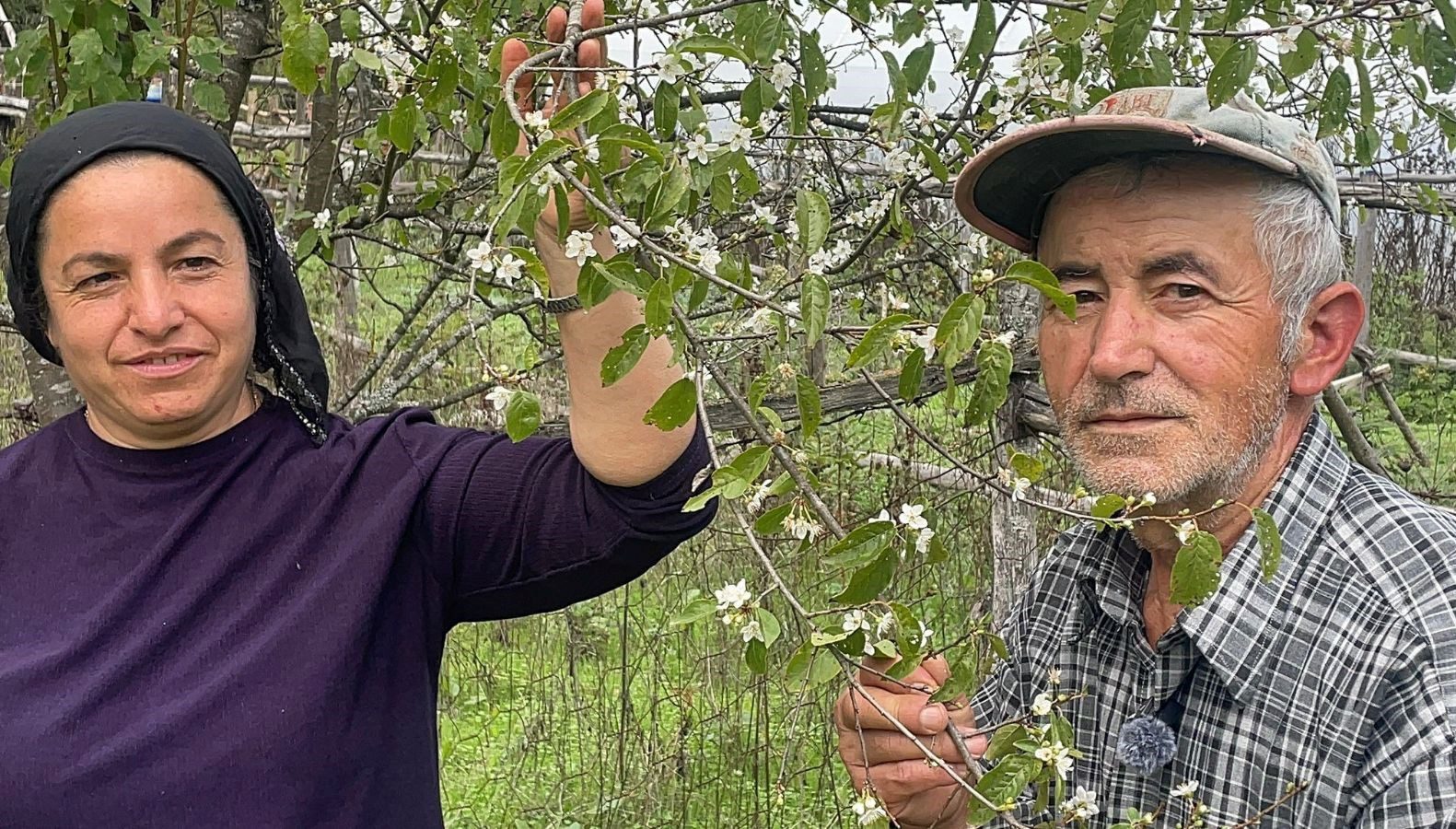 Bartın'da ilkbaharda çiçek açan meyve ağaçları, ekim ayında ikinci kez