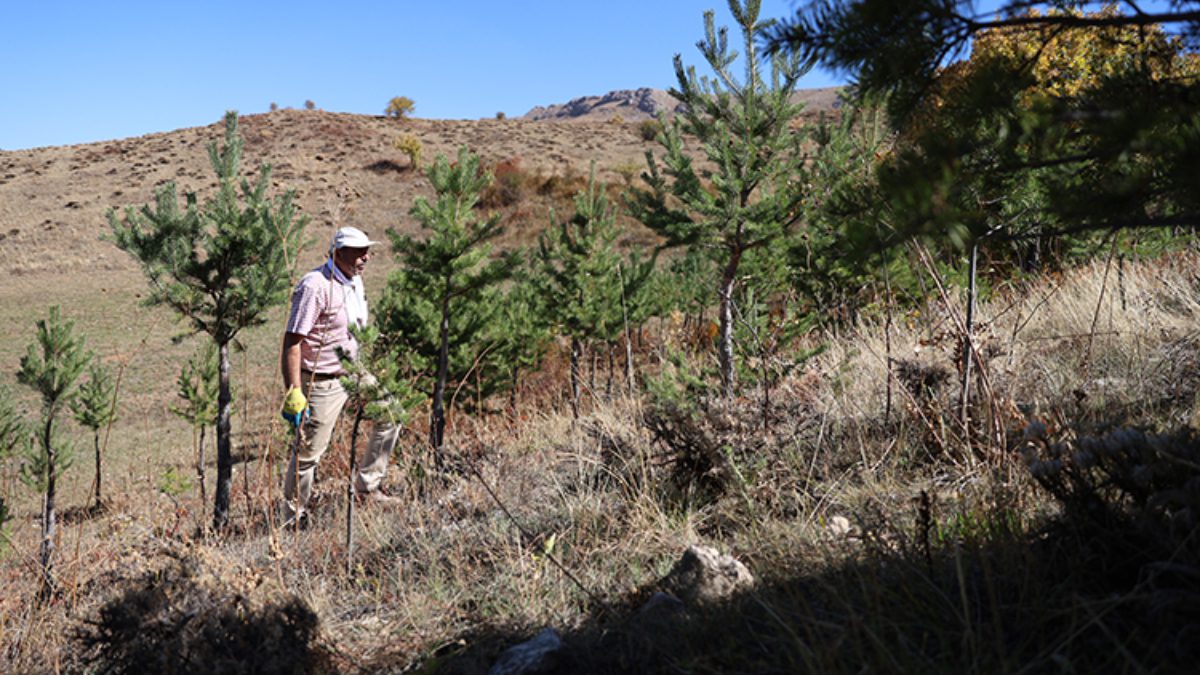 Bayburt’ta yaşayan Fransızca öğretmeni Hasan Kaymaz, 21 yıldır köyündeki çorak