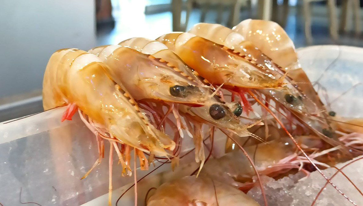 Hatay İskenderun Körfezi'nde jumbo karides bolluğu yaşanıyor. Bin 500 lira