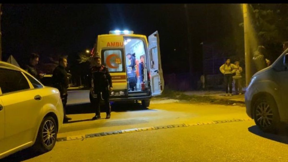 Atatürk Mahallesi İsmail Boyacıoğlu Caddesi üzerinde bulunan eve gelen kadın,