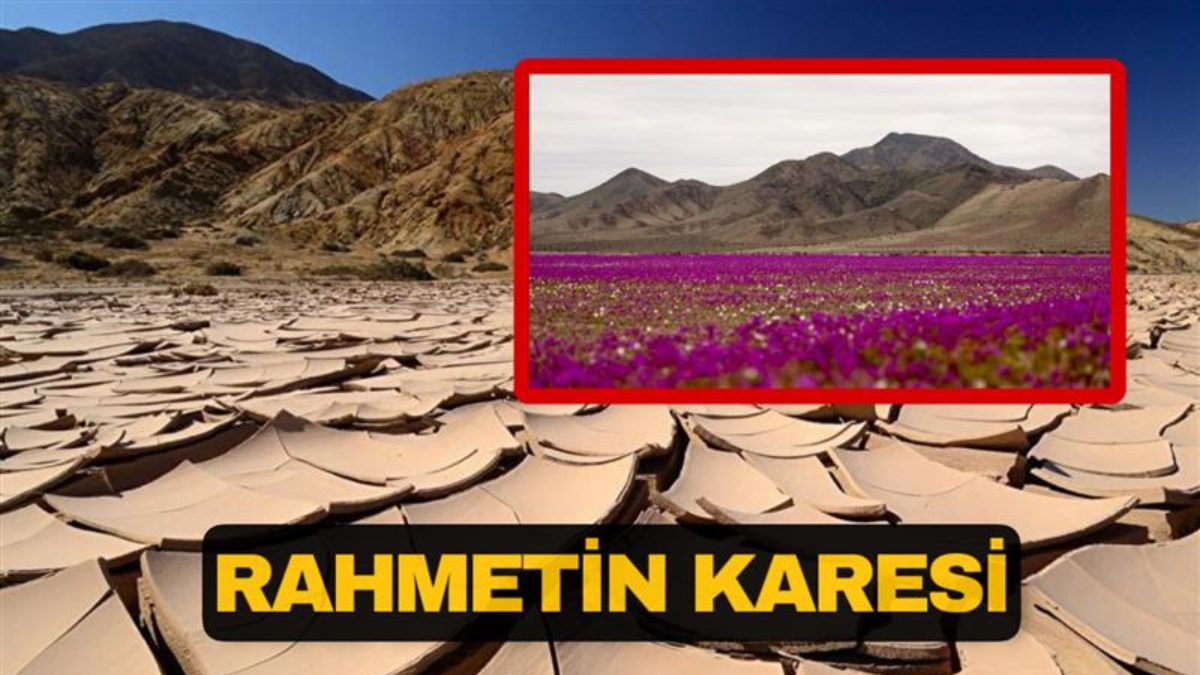 Şili'nin Copiapó kentinde bulunan ve Dünyanın en kurak çölü olan