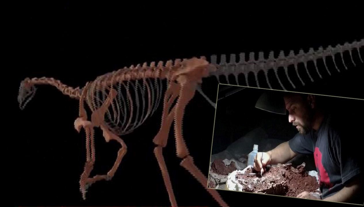 And Dağları'nda dünyanın en eski dinozor türlerinden birinin fosilleşmiş kemikleri