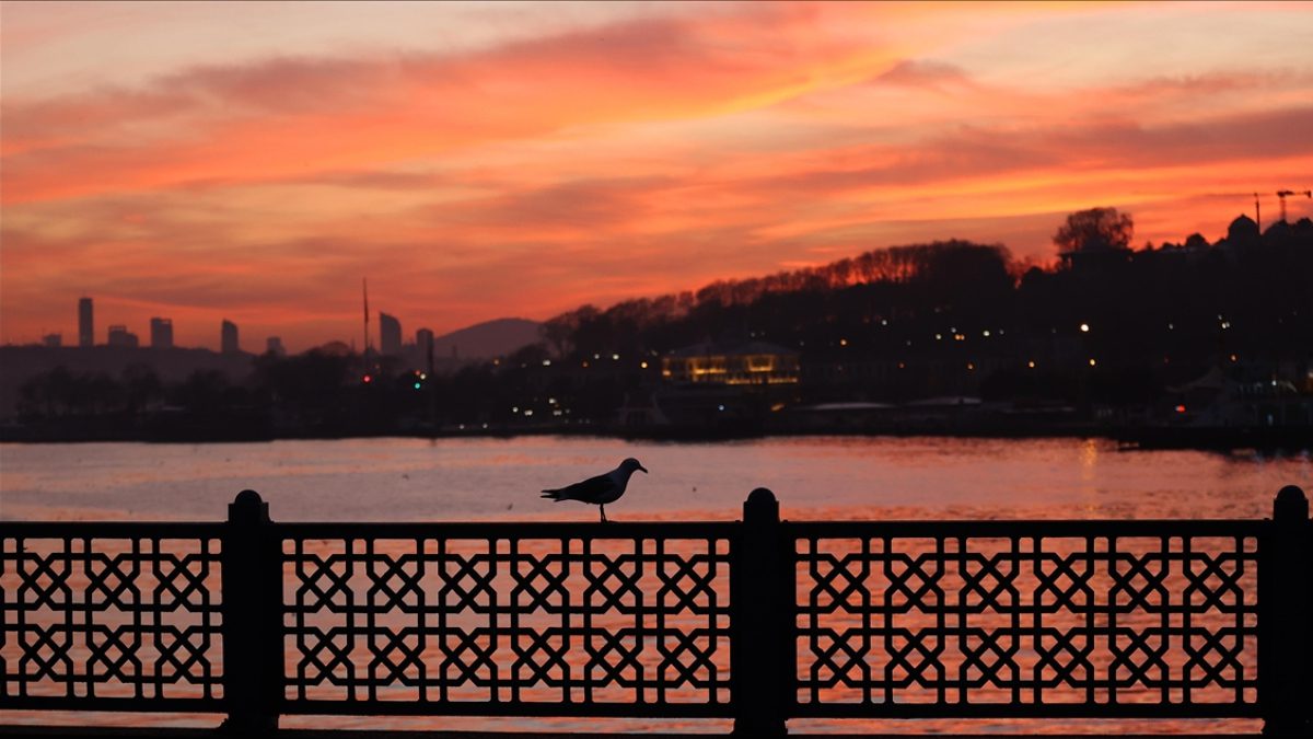 Dua, Müslüman'ın sığınma ve Allah'tan dilemek için ellerini semaya kaldırmasıdır.