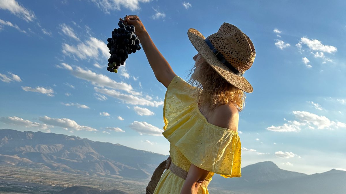 Erzincan’ın Üzümlü ilçesinde 200 yıllık bağlarda yetişen tescilli Cimin üzümünün