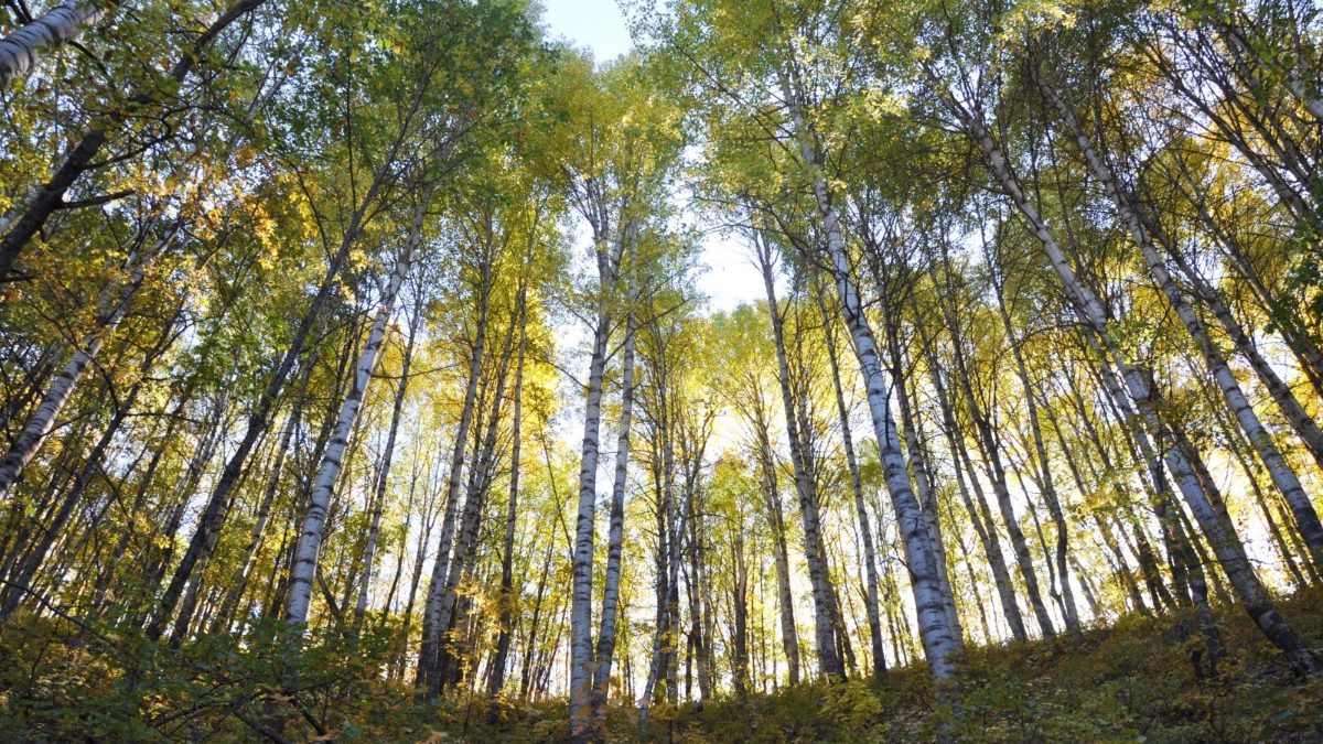 Erzincan ile Tunceli arasında sınır oluşturan Munzur Dağları ile Ergan