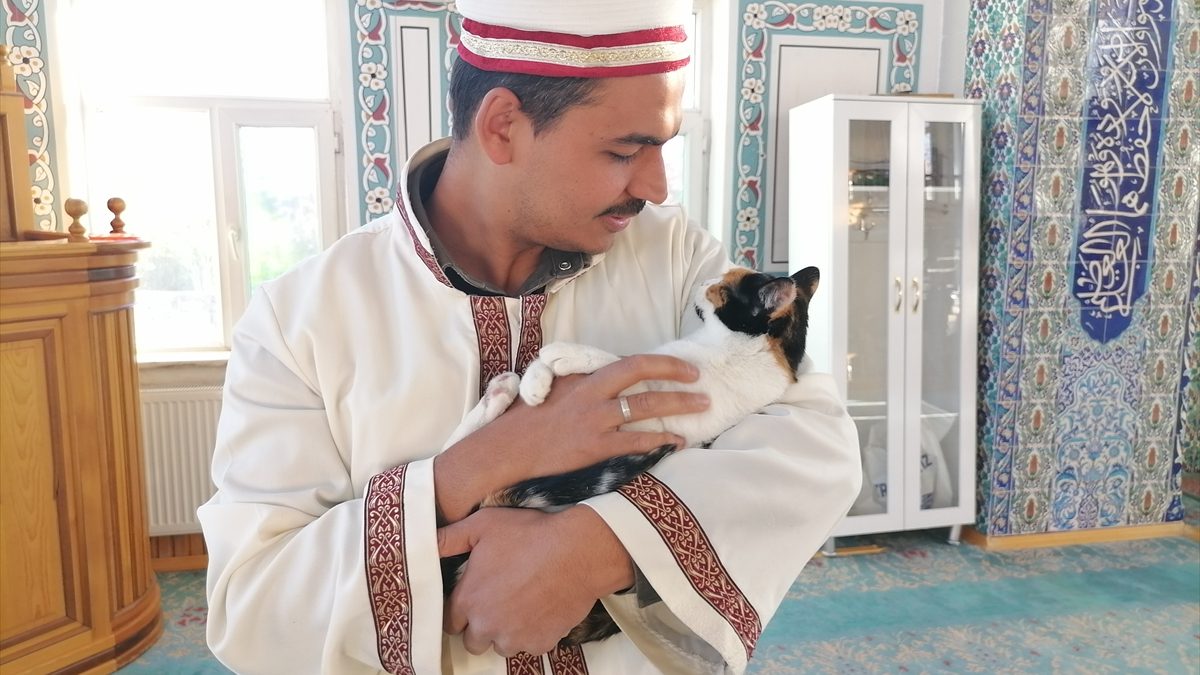 Erzurum’da imam Yunus Çaykara, cami çevresinde baktığı kedileri özenle yıkayarak