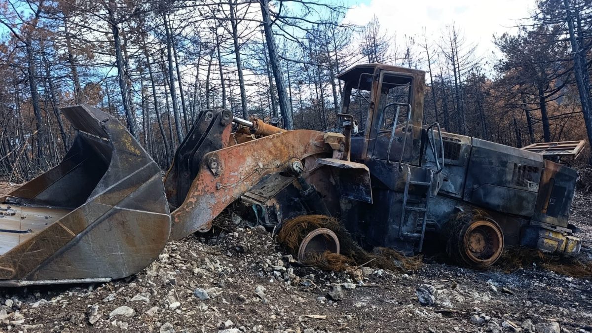 Eskişehir'in Seyitgazi ilçesinde çıkan ve 10 kişinin şehit olduğu orman