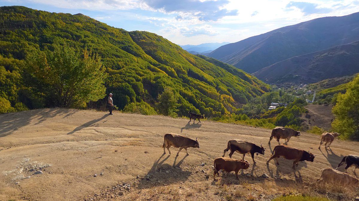 Sonbahar mevsiminin Türkiye'de en güzel yaşandığı şehirlerden birisi olan Gümüşhane'nin