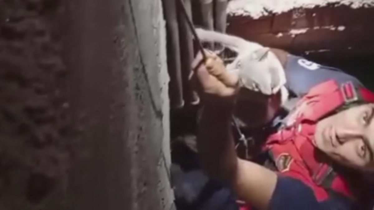 Arsuz ilçesinde 7 metre derinliğindeki boşluğa düşüp mahsur kalan kediyi