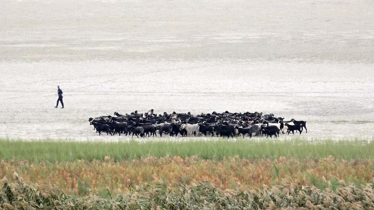 Eğirdir Gölü, su seviyesinin düşmesiyle ikiye bölündü. Suyun çekildiği bölge
