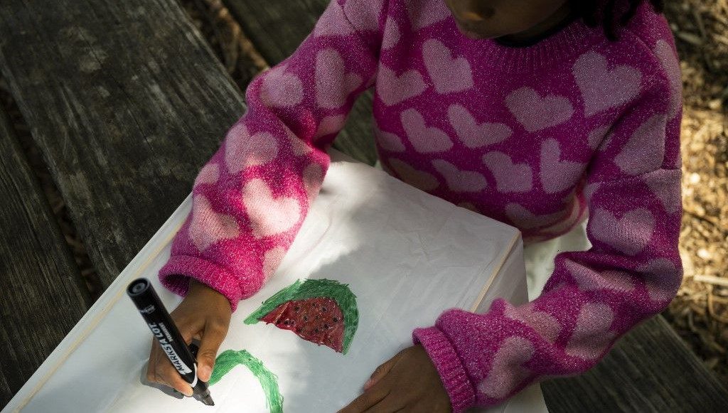 Filistin bayrağının renklerini taşıyan karpuz, İsrail'in bayrak yasaklarına karşı on