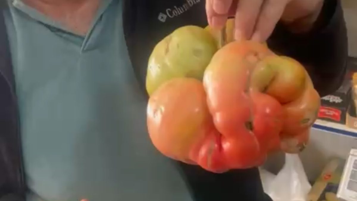 Mazıdağı ilçesinde bir çiftçinin tarlasından çıkan 1 kilo 400 gram