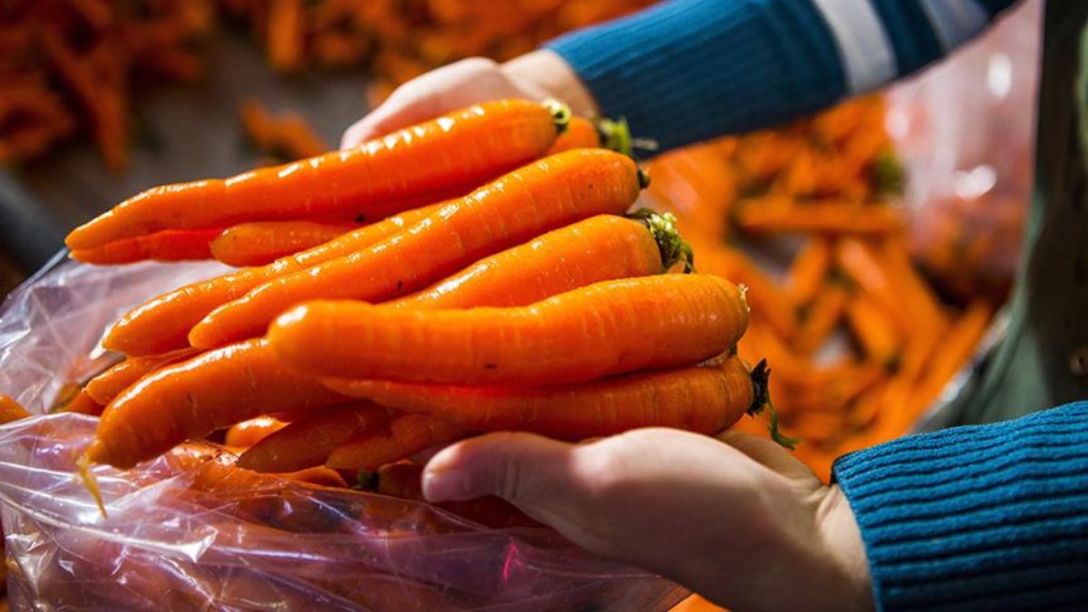 Havuç, hem lezzeti hem de besin değeriyle sağlığın görünmez kahramanı.