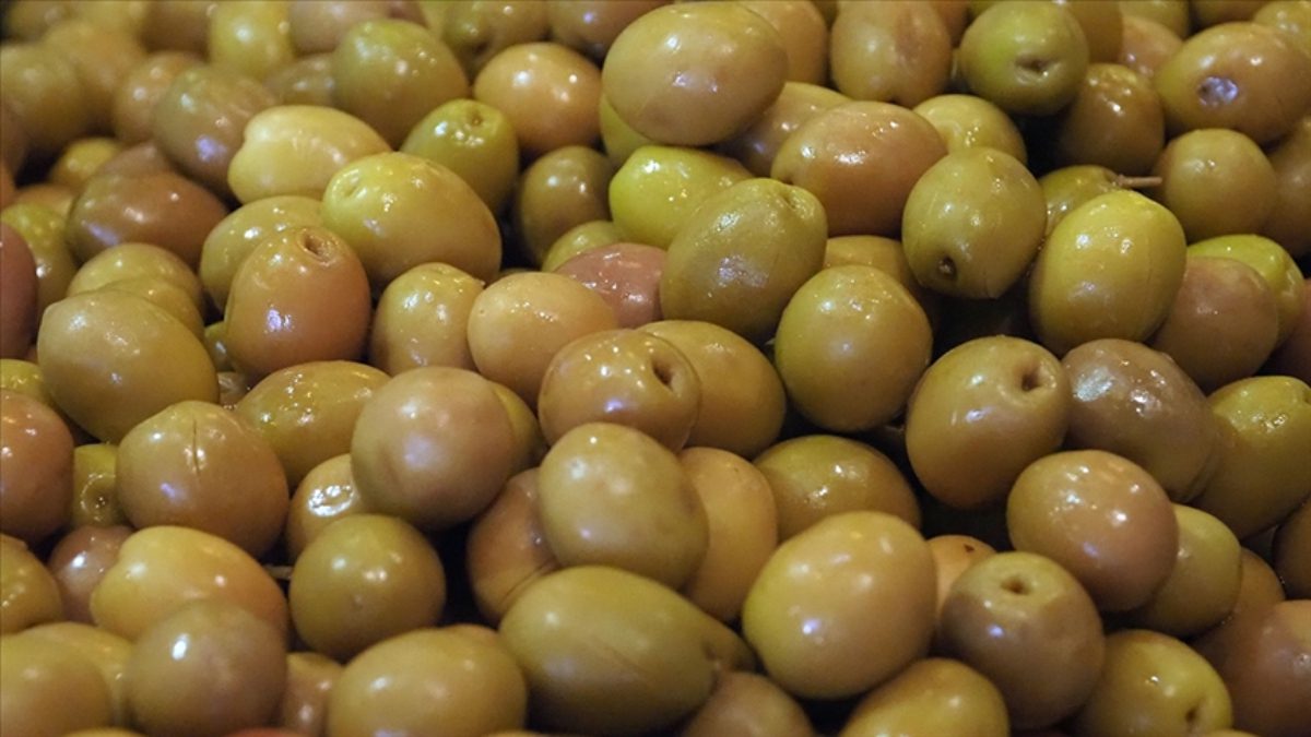 Türkiye'nin sofralık zeytin ihracatında 255 milyon dolarla rekor kırması, ülkeyi