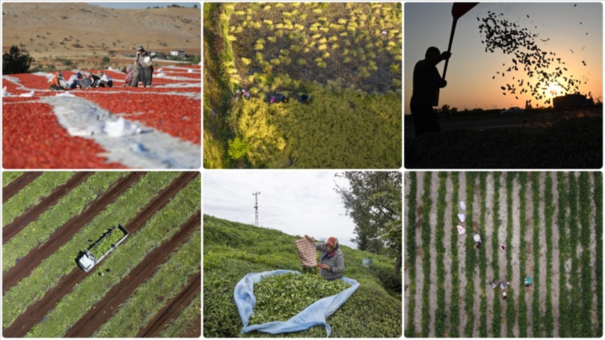 Tarımda bilinçli ve planlı faaliyet yürütmek için çiftçilerin verileri derleniyor.