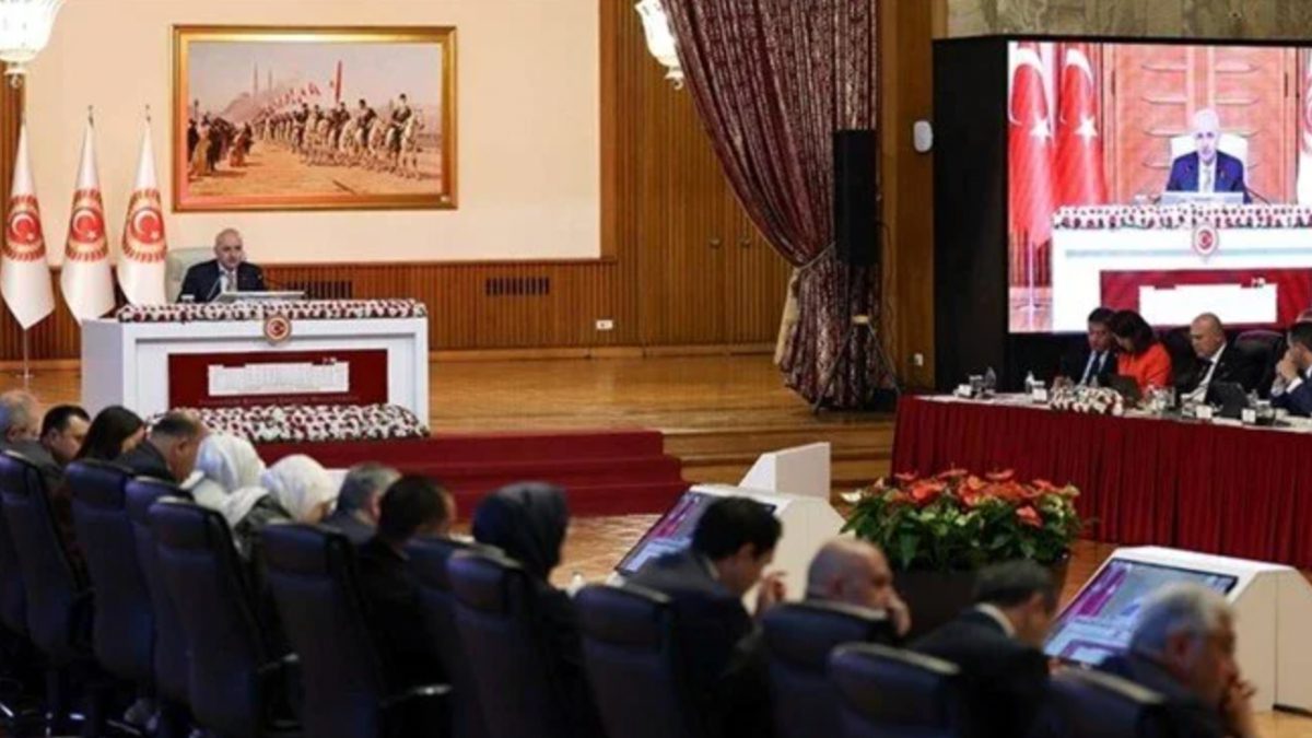 Türkiye Büyük Millet Meclisi Milli Dayanışma, Kardeşlik ve Demokrasi Komisyonu