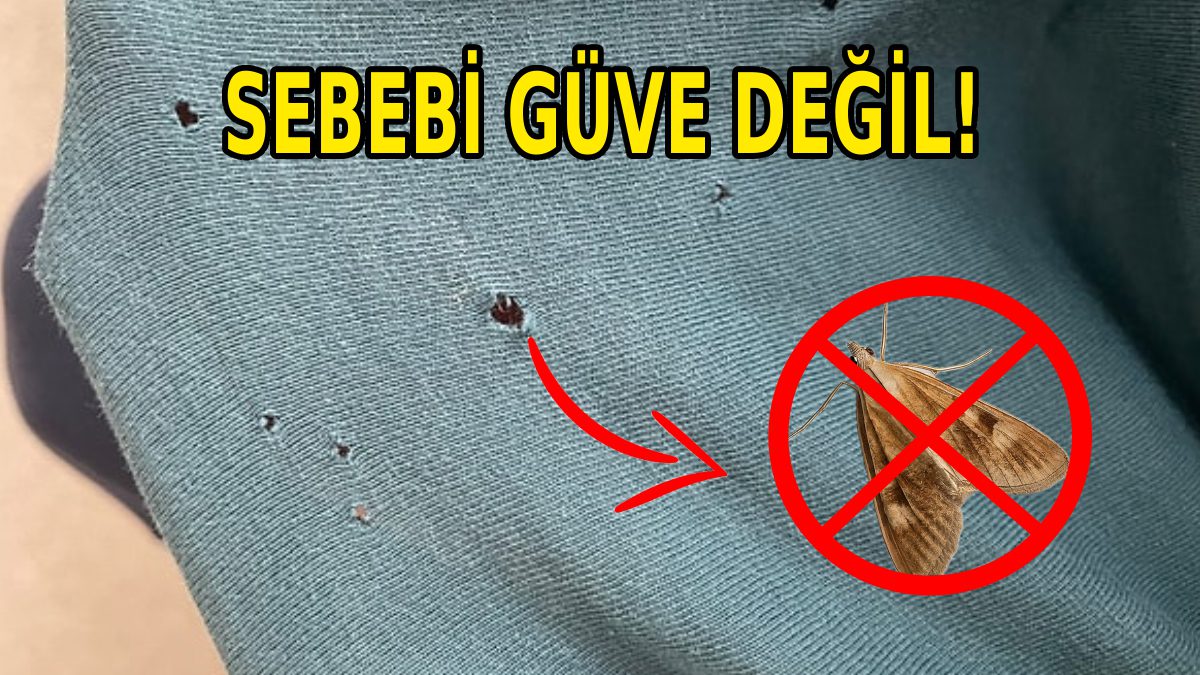 En sevdiğiniz tişörtleri giyiyorsunuz ve bir bakıyorsunuz küçük delikler ortaya