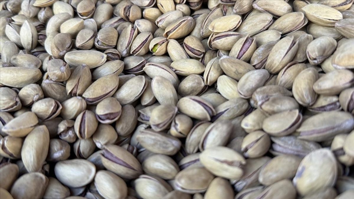 Güneydoğu Anadolu İhracatçı Birlikleri verilerine göre fıstık ihracatı geçen yıla