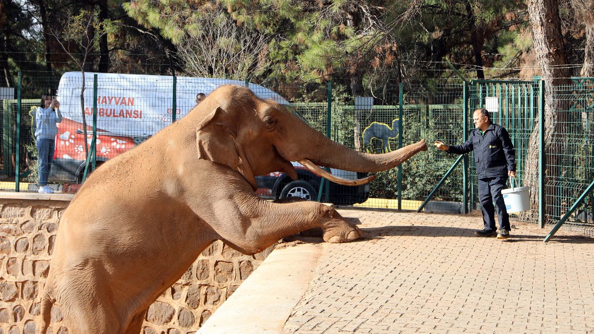 Türkiye'nin en büyük, dünyanın ise 4'üncü büyük hayvanat bahçesi olan