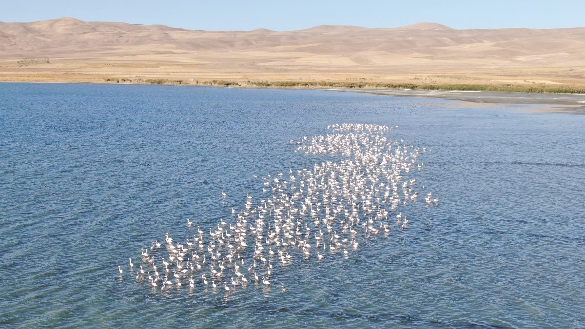 Van Gölü havzası, İran'ın Urumiye Gölü'ndeki kuruma nedeniyle göç eden