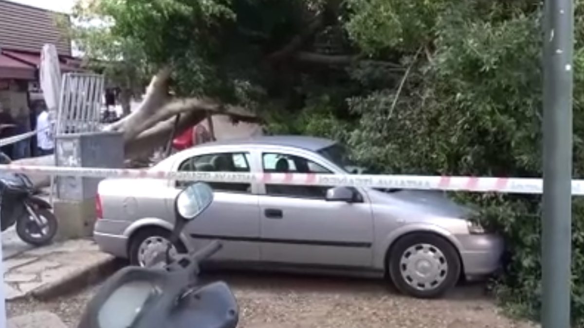 Muratpaşa ilçesinde kaldırım üzerinde bulunan ağaç park halindeki araçların üzerine