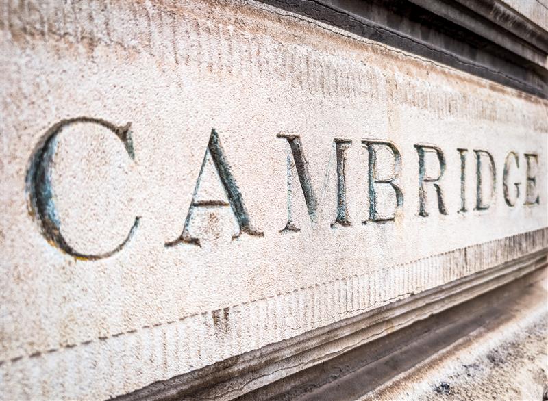 Cambridge Sözlüğü, yılın kelimesi olarak "Parasosyal"i seçti. Bu kelime "ünlü