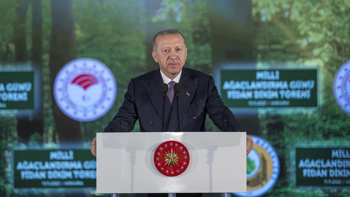 Cumhurbaşkanı Recep Tayyip Erdoğan, 11 Kasım Milli Ağaçlandırma Günü kapsamında