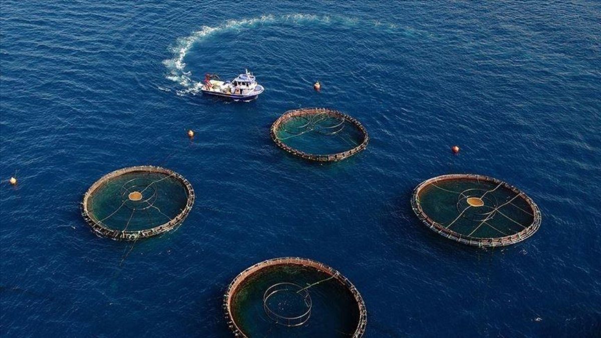 Doğu Karadeniz İhracatçılar Birliği Su Ürünleri Sektör Komitesi, bölgeden 10