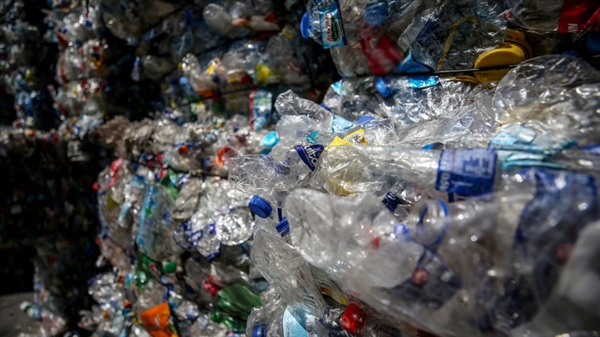 TÜİK tarafından açıklanan verilere göre, geçen yıl ülkemizde toplamda 120