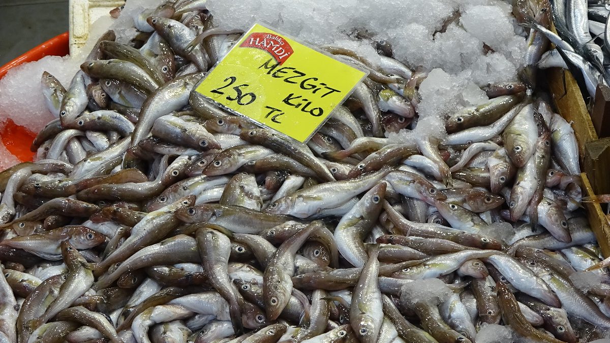 Kentte balık tezgahlarda bolluk henüz görülmese de, balık türlerinin çeşitliliği