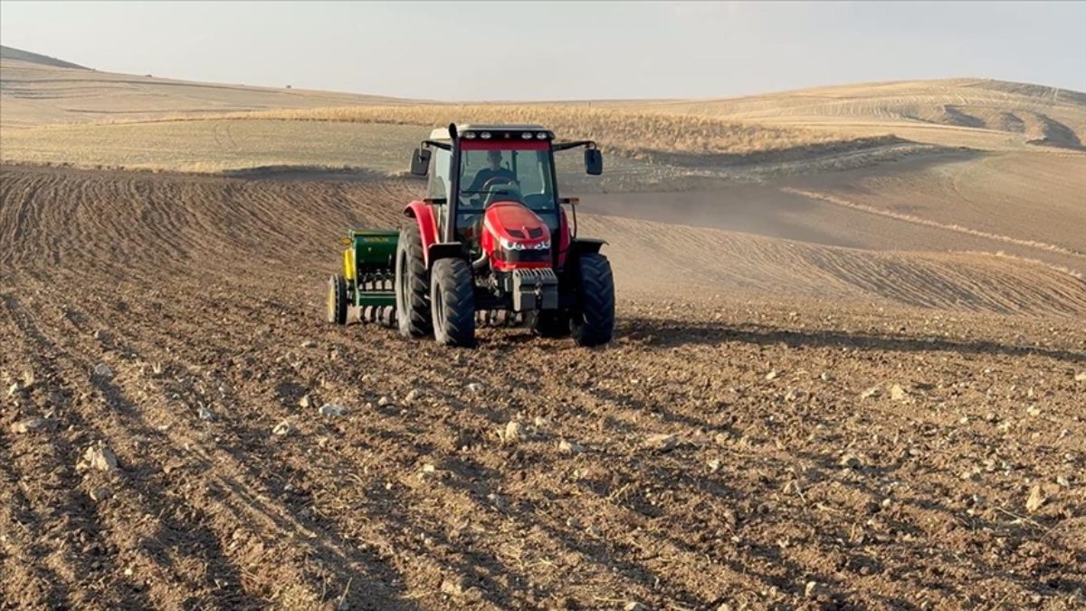 Yozgat, hububat üretiminde ilk 10 arasında bulunuyor. Uzmanlar kentteki kuraklığın