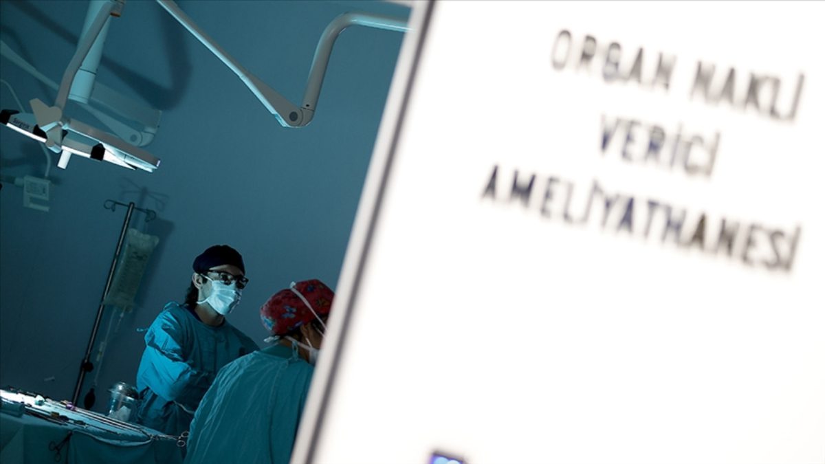 Sağlık Bakanlığı verilerinden elde edilen bilgilere göre, Türkiye'de yılda ortalama