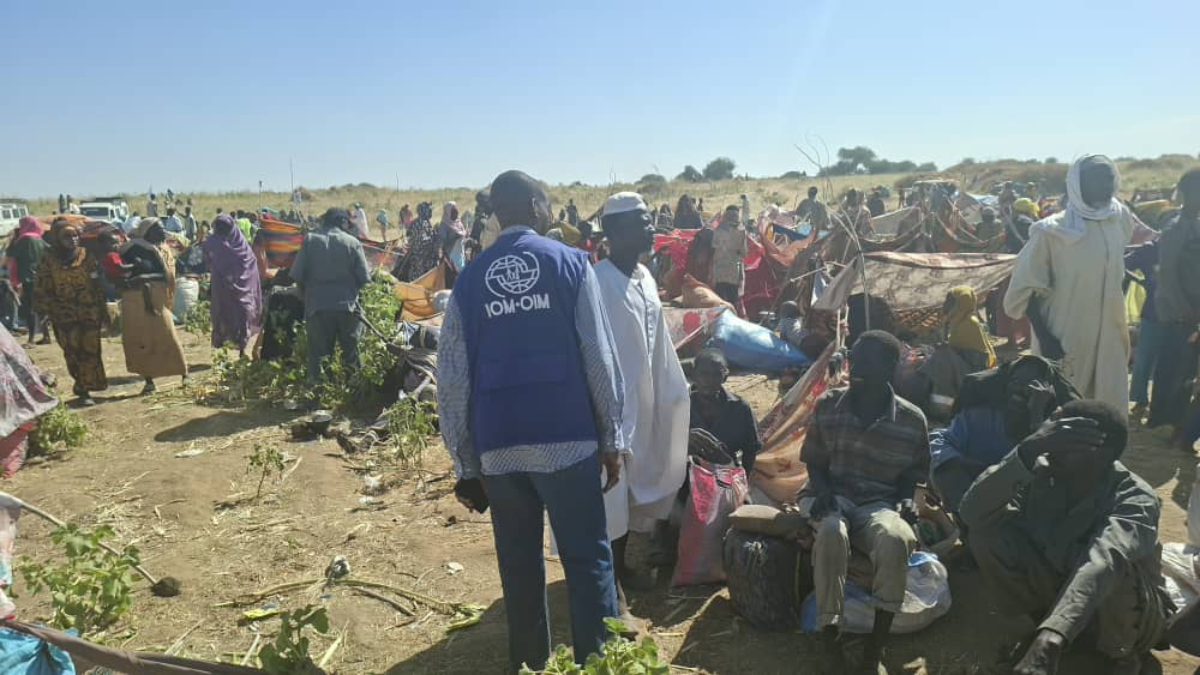 Birleşmiş Milletler Uluslararası Göç Örgütü, Sudan'ın batısındaki Faşir kentinin, Hızlı