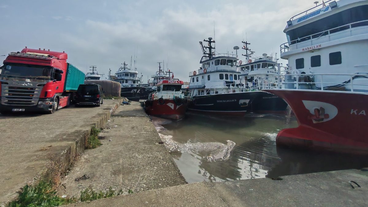 Araklı ilçesi açıklarında yoğunlaşan hamsi sürüleri balıkçı teknelerini bölgeye akın