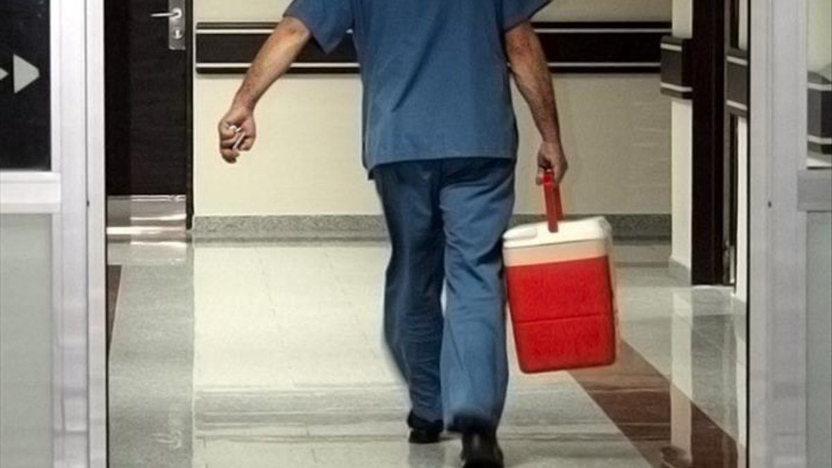 Organ naklinin hastalar için en iyi tedavi yöntemi. Organ nakli