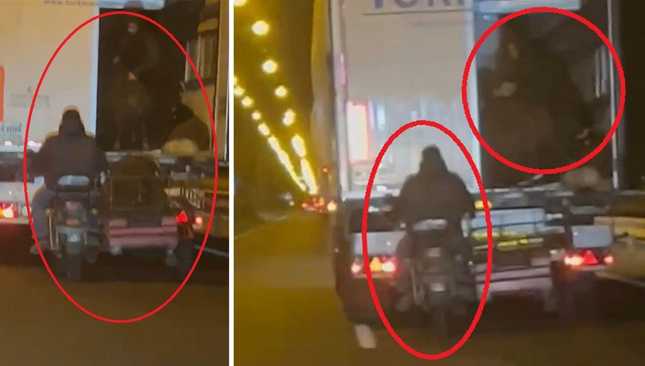 Diyarbakır'da seyir halindeki TIR'dan motosikletle koyun çalan iki şüpheli, polis