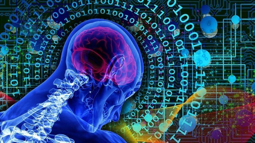 İnsanın beyin dokularıyla çalışan bilgisayarlar, henüz yalnızca basit işlemler yapabilse