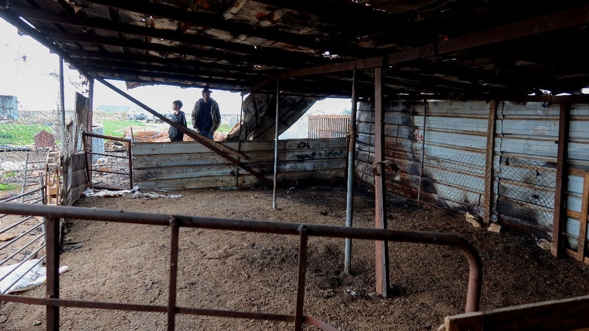 Filistin topraklarını gasbeden İsrailli yerleşimciler, işgal altındaki Batı Şeria’da Filistinlilere