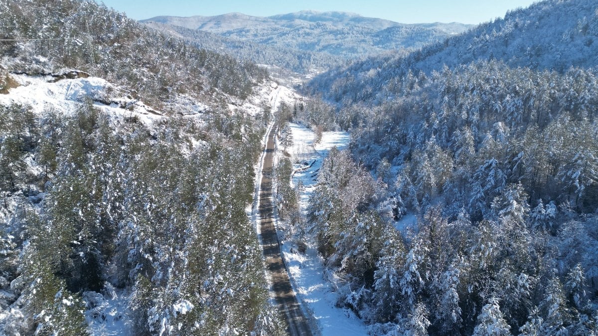 Bartın ile Kastamonu sınırlarında yer alan Küre Dağları Milli Parkı'nda,