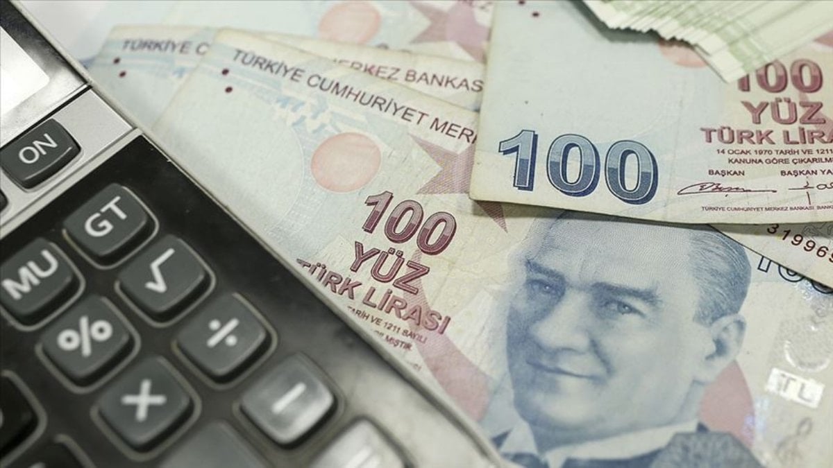 Bireysel Emeklilik Sistemi'nde katılımcılara sağlanan yüzde 30'luk devlet katkısının yüzde