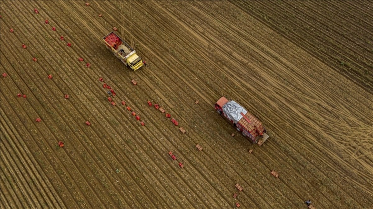 Tarım ÜFE Aralık 2025'te aylık yüzde 3,06, yıllık bazda yüzde
