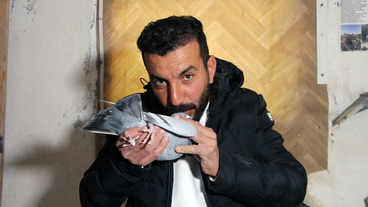Seyhan ilçesinde beslediği damızlık posta güvercini kaybolan Ercan Arıcı, kuşunu