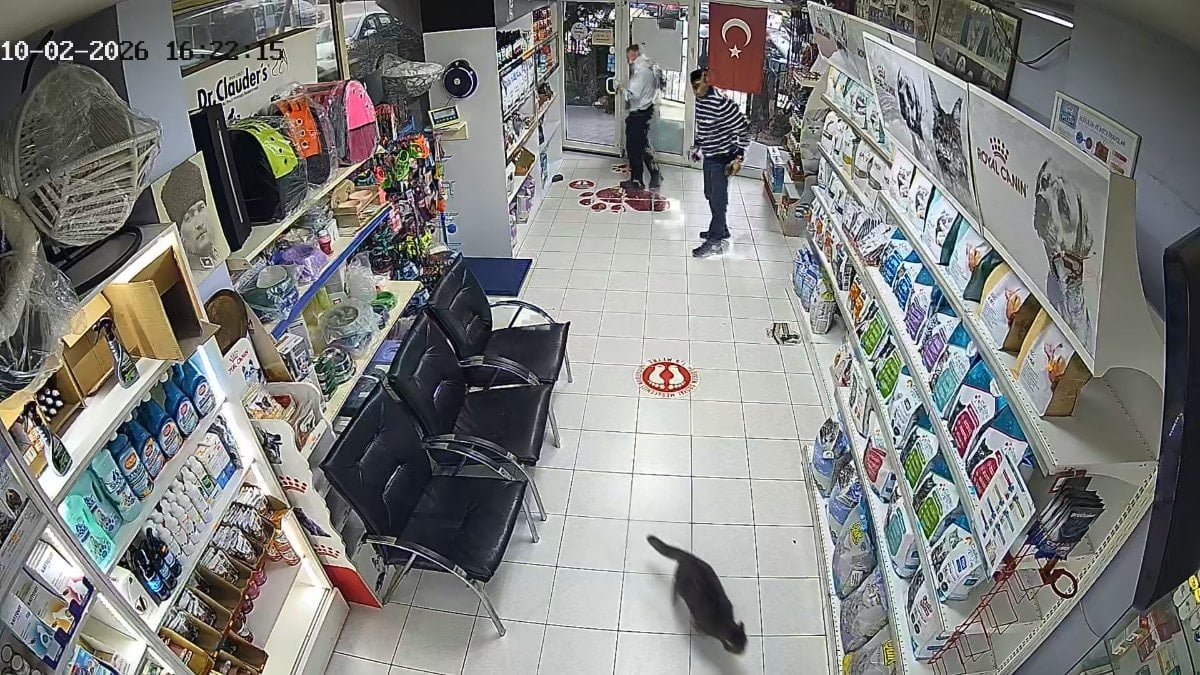 Avcılar'da 3 çocuk, bir veteriner kliniğine, ateşledikleri torpili atarak kaçtı.