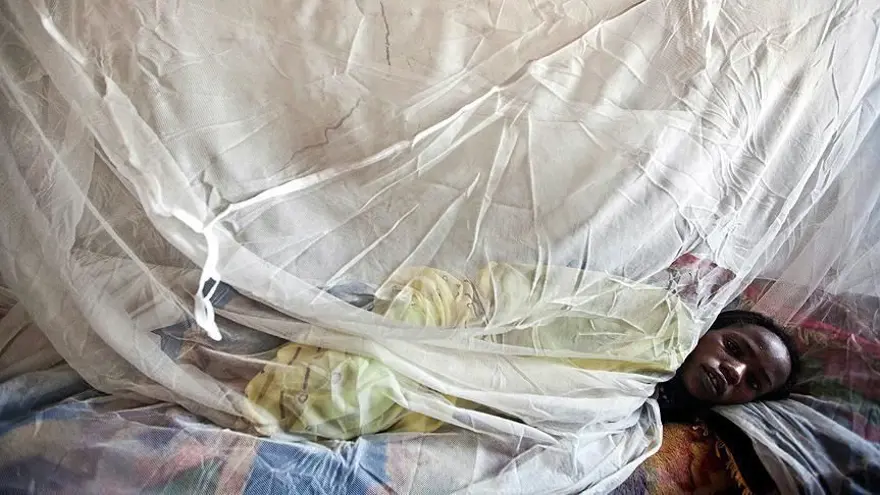 Nijerya'da, Lassa ateşi nedeniyle bu yıl hayatını kaybedenlerin sayısı 70'e