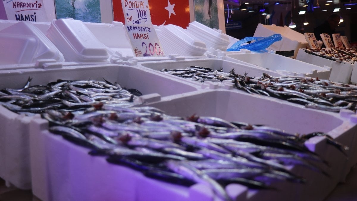 Karadeniz'de bir süredir sıcaklıklar nedeniyle rotasını Gürcistan sularına çeviren hamsi,