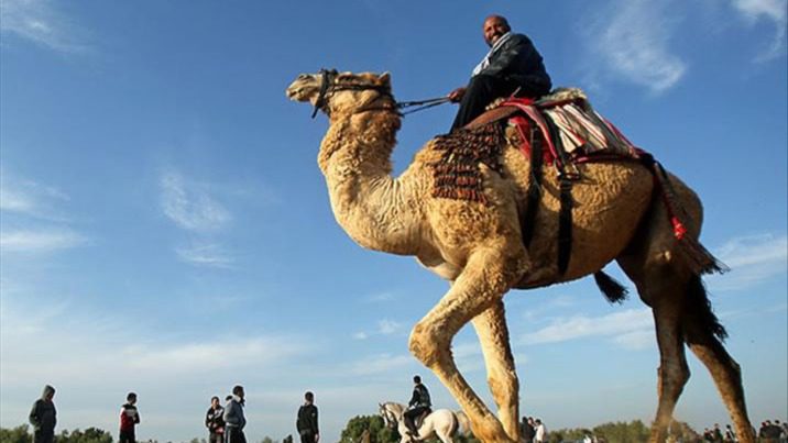 Suudi Arabistan sektörün düzenlenmesi, belgelenmesi ve hizmet verimliliğinin artırılması amacıyla