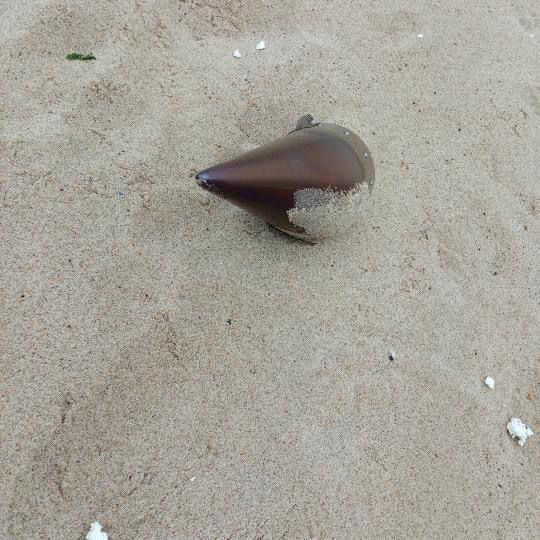 İstanbul'da denizde sürüklenerek kıyıya vuran füze başlığı ekipleri harekete geçirdi.