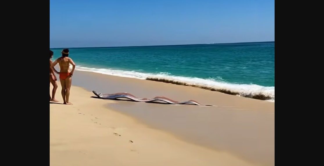 Monica Pittenger ve kız kardeşi Katie, Cabo San Lucas sahilinde