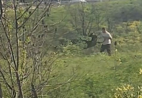 Avcılar'da çevresindekilerin tepkilerine aldırış etmeden köpeğine kemerle vuran, sürükleyen ve